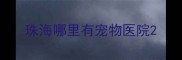 珠海哪里有宠物医院