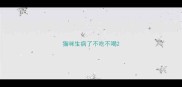 猫咪生病了不吃不喝