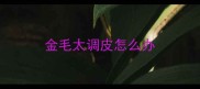 金毛太调皮怎么办