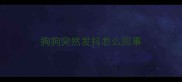 狗狗突然发抖怎么回事
