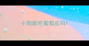 小狗能吃葡萄皮吗