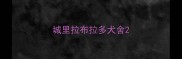 城里拉布拉多犬舍