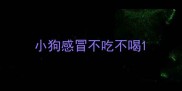 小狗感冒不吃不喝