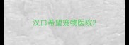 汉口希望宠物医院