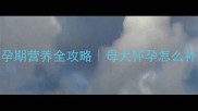 哈士奇怀孕期营养全攻略母犬怀孕怎么补最科学