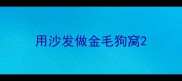 用沙发做金毛狗窝