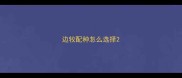 边牧配种怎么选择