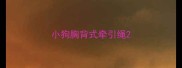 小狗胸背式牵引绳