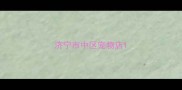 济宁市中区宠物店