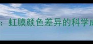 哈士奇异色瞳全虹膜颜色差异的科学成因与饲养指南