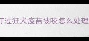 打过狂犬疫苗被咬怎么处理