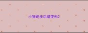 小狗跑步后退变形