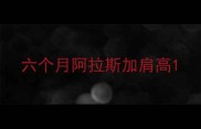 六个月阿拉斯加肩高