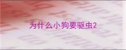 为什么小狗要驱虫