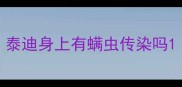 泰迪身上有螨虫传染吗