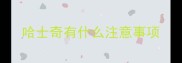 哈士奇有什么注意事项