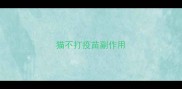 猫不打疫苗副作用