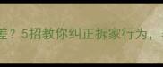纯种拉布拉多脾气差5招教你纠正拆家行为养出温顺小天使