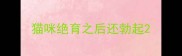 猫咪绝育之后还勃起