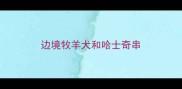 边境牧羊犬和哈士奇串