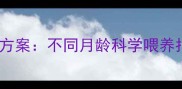 罗威纳犬生长期营养方案不同月龄科学喂养指南与饲养注意事项
