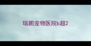 瑞鹏宠物医院b超