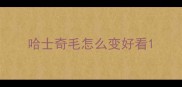 哈士奇毛怎么变好看