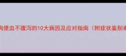 狗狗便血不腹泻的10大病因及应对指南附症状鉴别表