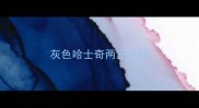 灰色哈士奇两三个月