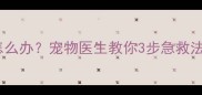 泰迪犬误食蛋糕包装纸怎么办宠物医生教你3步急救法与预防措施附案例