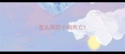 怎么预防小狗死亡