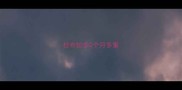 拉布拉多2个月多重
