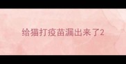 给猫打疫苗漏出来了