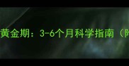 柯基幼犬训练黄金期3-6个月科学指南附实操方案