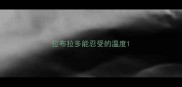 拉布拉多能忍受的温度