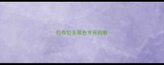 拉布拉多黑色专用狗粮