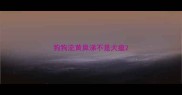 狗狗流黄鼻涕不是犬瘟