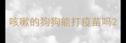 咳嗽的狗狗能打疫苗吗
