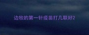 边牧的第一针疫苗打几联好