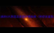 狗狗干咳流鼻涕的5大原因及家庭护理指南附症状鉴别与就医时机