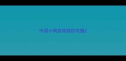 中国小狗吉娃娃的衣服