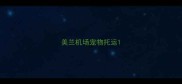 美兰机场宠物托运