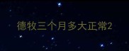 德牧三个月多大正常