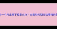 金毛幼犬一个月走路不稳怎么办全面幼犬期运动障碍的养护指南