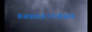 泰迪驱虫多久打疫苗吗