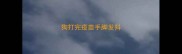 狗打完疫苗手脚发抖