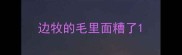边牧的毛里面糟了