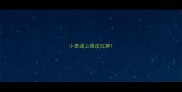 小泰迪上眼皮红肿
