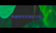 泰迪把吃的饭吐出来了