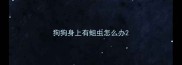 狗狗身上有蛆虫怎么办